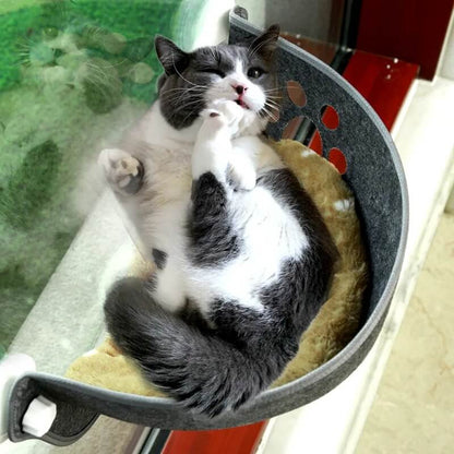 hamac fenêtre chat feutrine gris avec chat content