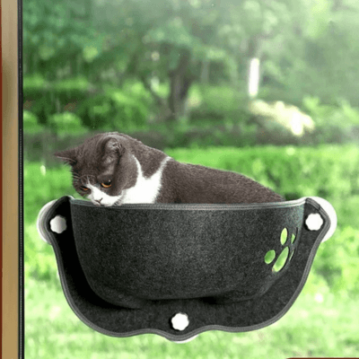 hamac fenêtre chat feutrine gris avec chat curieux 
