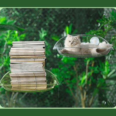 hamac fenêtre chat transparent avec chat livres 
