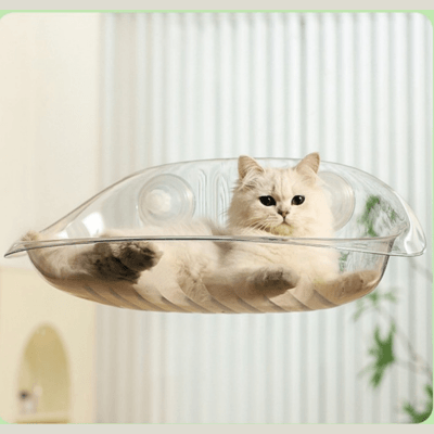hamac fenêtre chat transparent avec chat allongé calme 