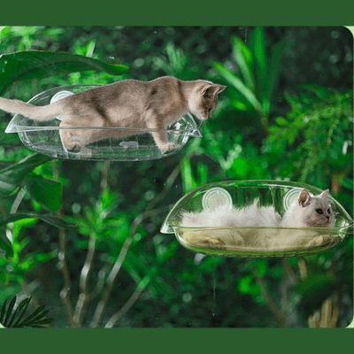 hamac fenêtre chat transparent avec deux chats 