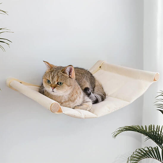 hamac pour chat au soleil 3