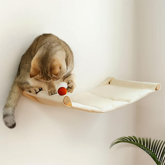 hamac pour chat au soleil 4
