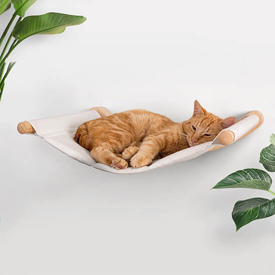 hamac pour chat au soleil 