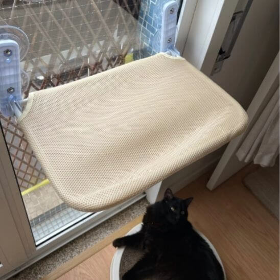 hamac pour chat fenêtre avec chat noir en dessous