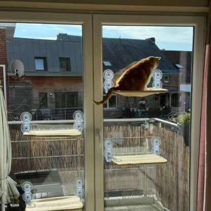 hamac pour chat fenêtre exemple de 4 avec chat roux