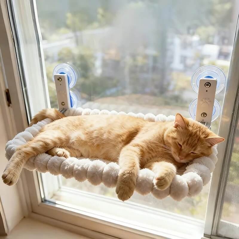 hamac pour chat fenêtre rectangle blanc doux avec chat endormi