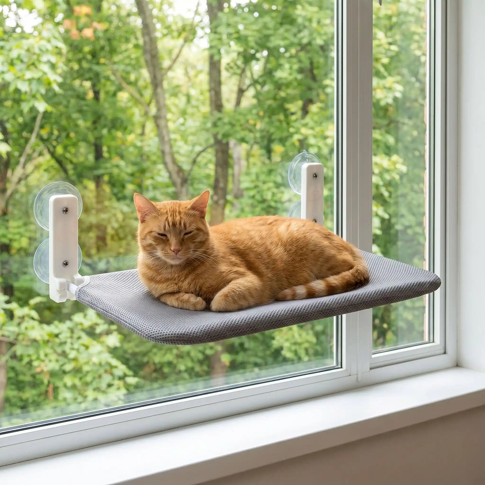 hamac pour chat fenêtre tissu respirant avec chat calme