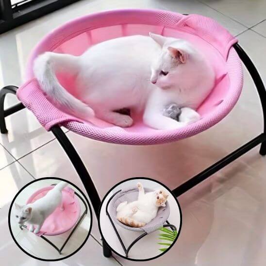 hamac pour chat sur pieds avec chat allongé 