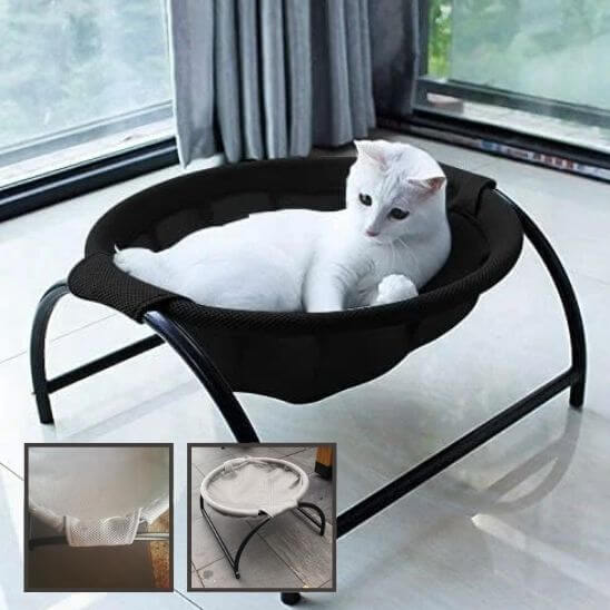 hamac pour chat sur pieds avec chat curieux 