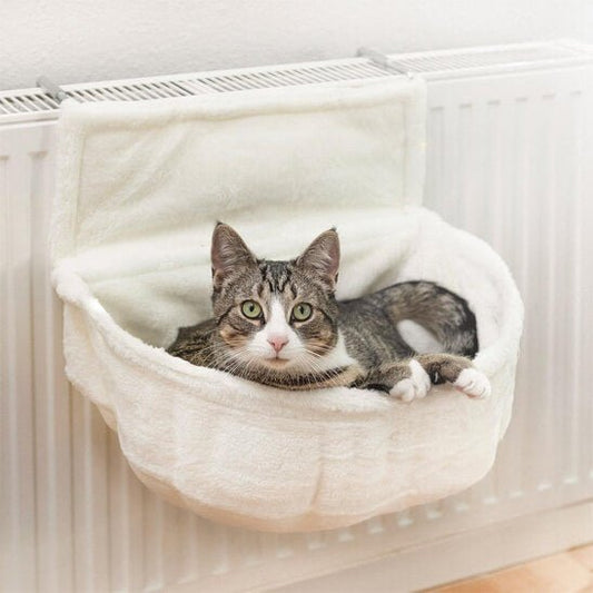 hamac radiateur chat avec chat  