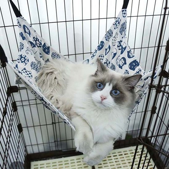 hamac suspendu pour chat attache cage avec chat allonge