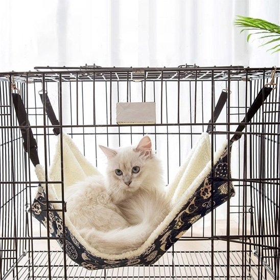 hamac suspendu pour chat attache cage avec chat pose