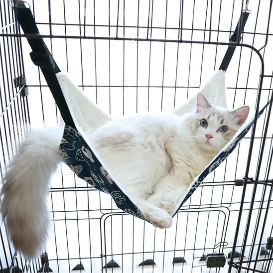 hamac suspendu pour chat attache cage avec chat tranquille