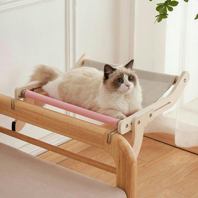hamac suspendu pour chat chat allongé