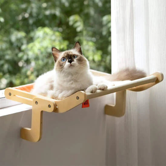 hamac suspendu pour chat fenêtre avec chat