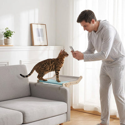 hamac suspendu pour chat homme photo chat debout 