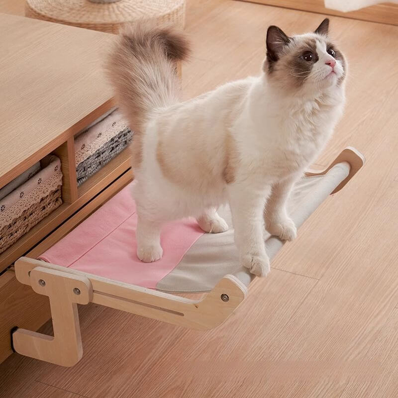 hamac suspendu pour chat lit avec chat debout 