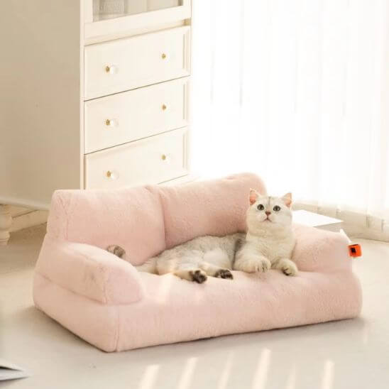 lit chat canapé beige clair
