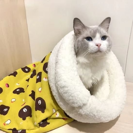 lit chat couchage coloré jaune ours avec chat