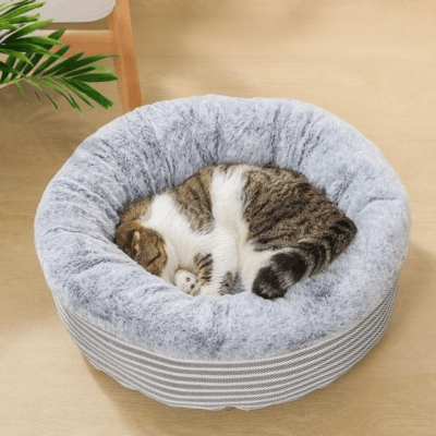 lit chat fond rond gris avec chat enroulé endormi 