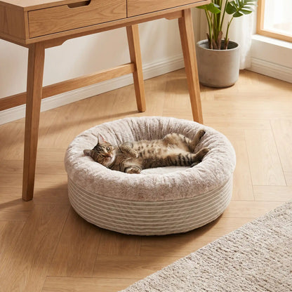 lit chat fond rond kaki avec chat allongé 