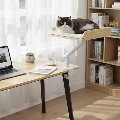 lit chat rotatif en bois avec chat allongé
