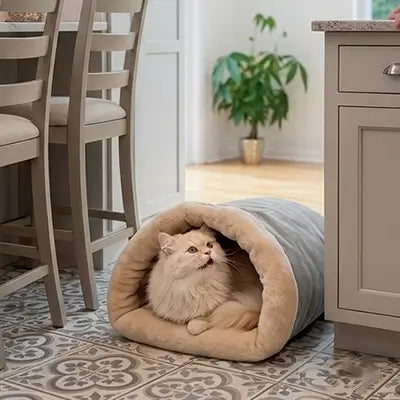 lit chat sac couchage gris chat cuisine 