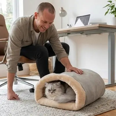 lit chat sac couchage gris humain chat bureau 