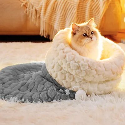 lit chat sac de couchage gris avec chat assis 