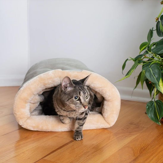 lit chat sac de couchage gris avec chat sortant