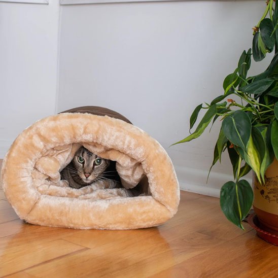 lit chat sac de couchage marron avec chat 