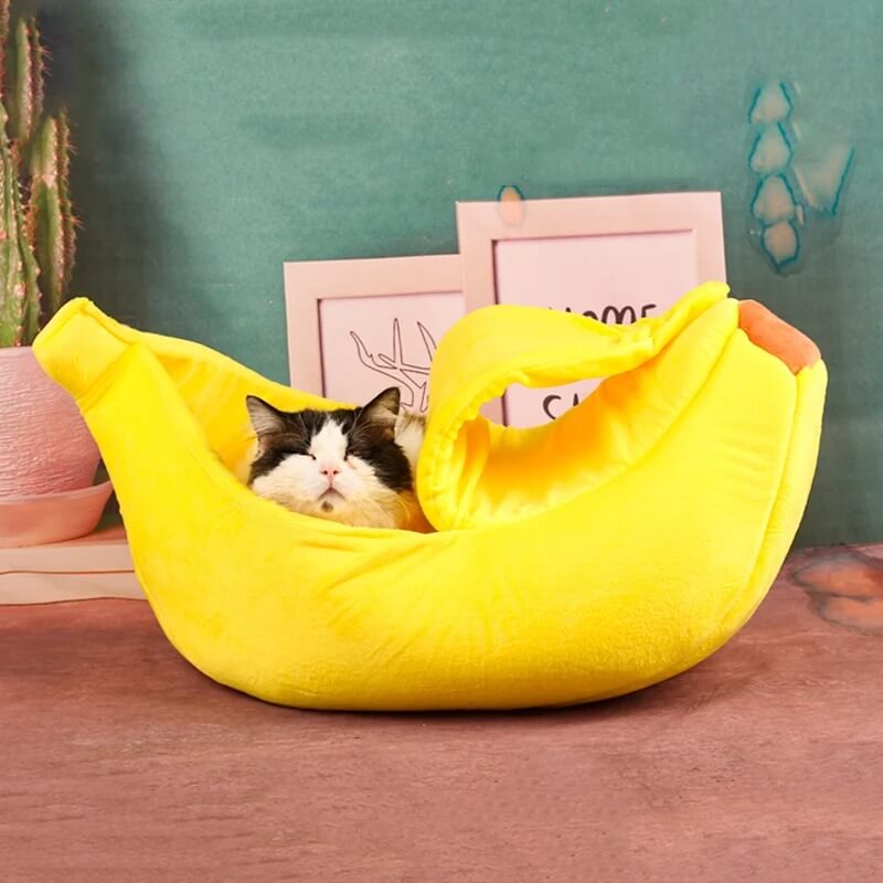 lit pour chat banane avec chat dormant 