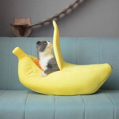 lit pour chat banane avec chat gris blanc 