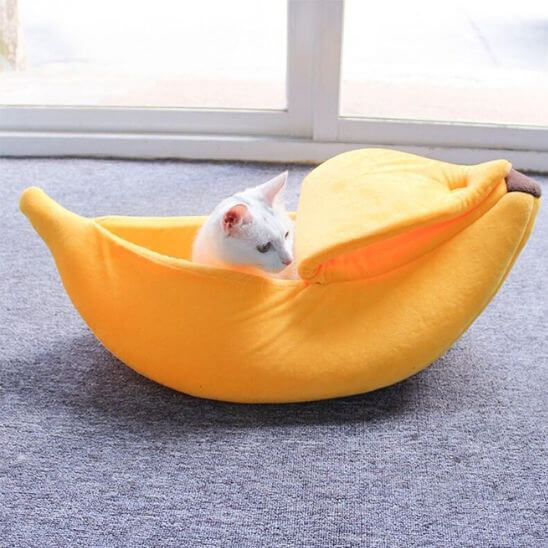 lit pour chat banane avec chat 