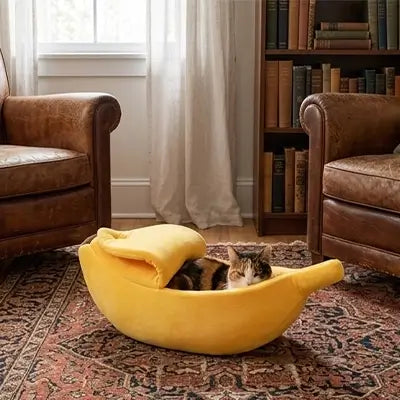 lit pour chat banane jaune chat amusant 