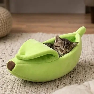 lit pour chat banane verte chaton dormant 