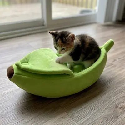 lit pour chat banane verte chaton jouant 
