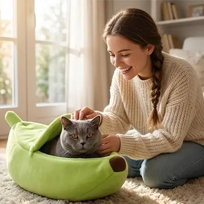 lit pour chat banane verte humain chat 