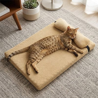 lit pour chat beige avec oreiller chat allongé calme