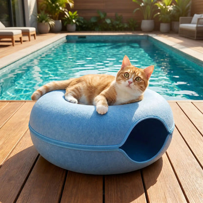 lit pour chat donut tunnel bleu avec chat piscine