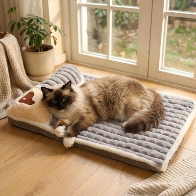 lit pour chat gris mémoire de forme avec chat posé