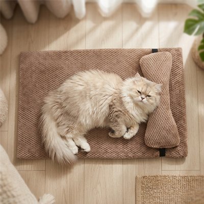 lit pour chat kaki avec oreiller gros chat 