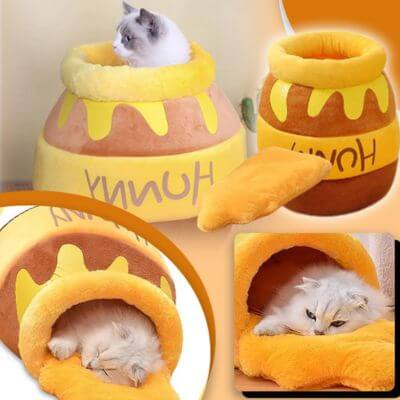 lit pour chat pot de miel mignon