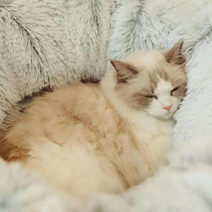 lit pour chat tunnel chat endormi