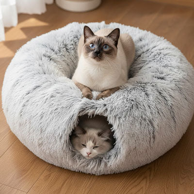 lit pour chat tunnel dodo avec chats 2 