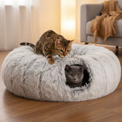 lit pour chat tunnel dodo avec chats 3
