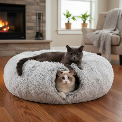 lit pour chat tunnel dodo avec chats