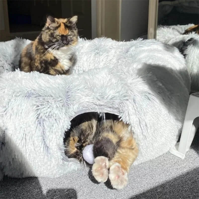 lit pour chat tunnel dodo chats jouant