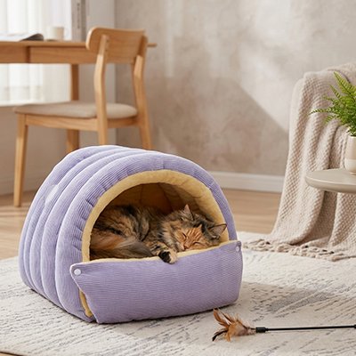 lit pour chat tunnel semi-fermé avec chat endormi